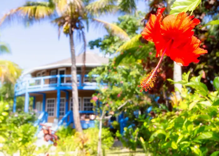 White Sands Cove G04- Partial Ocean View 1 Bedroom By Floreo Aparthotel San Pedro (Ambergris Caye)
